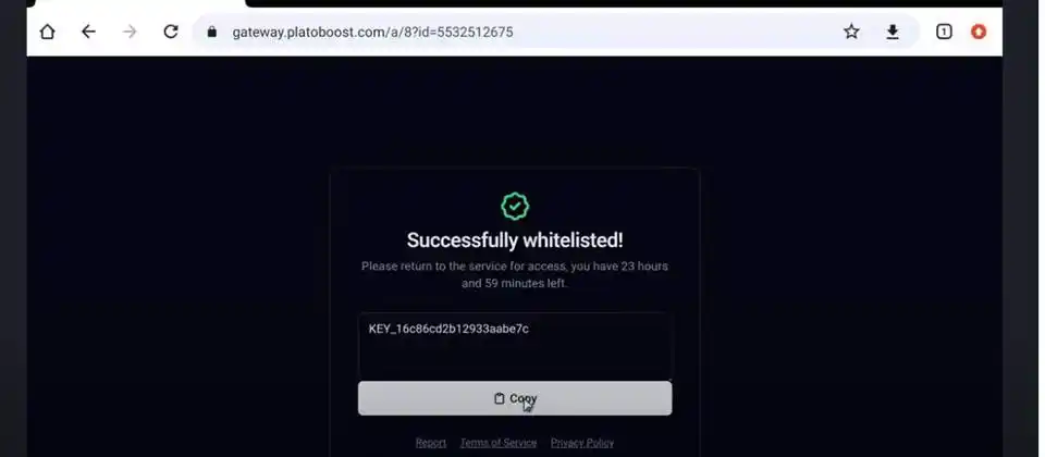 Successfully Whitelisted for delta exploit